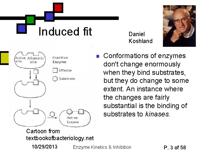 Induced fit Daniel Koshland n Conformations of enzymes don't change enormously when they bind