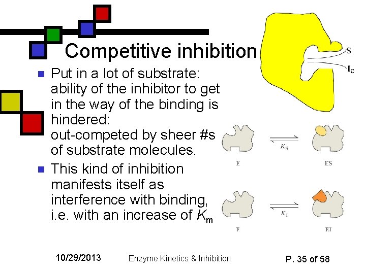 Competitive inhibition n n Put in a lot of substrate: ability of the inhibitor