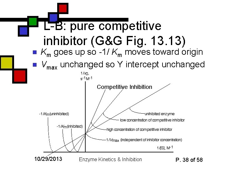 L-B: pure competitive inhibitor (G&G Fig. 13) n n Km goes up so -1/