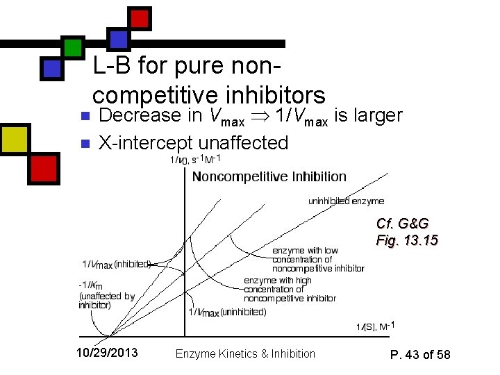 n n L-B for pure noncompetitive inhibitors Decrease in Vmax 1/Vmax is larger X-intercept