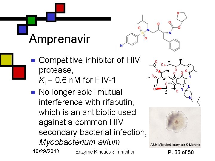 Amprenavir n n Competitive inhibitor of HIV protease, Ki = 0. 6 n. M