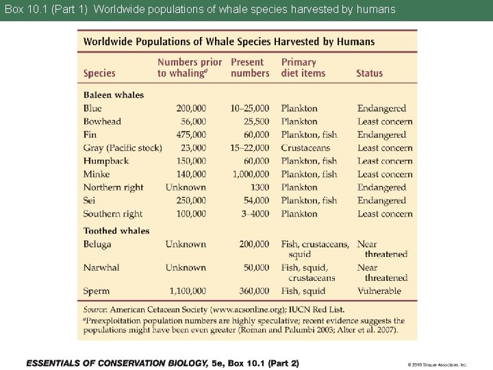 Box 10. 1 (Part 1) Worldwide populations of whale species harvested by humans 