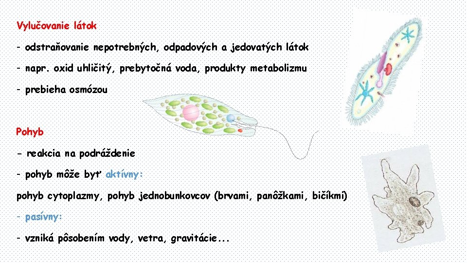 Vylučovanie látok - odstraňovanie nepotrebných, odpadových a jedovatých látok - napr. oxid uhličitý, prebytočná