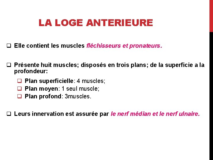 LA LOGE ANTERIEURE q Elle contient les muscles fléchisseurs et pronateurs. q Présente huit