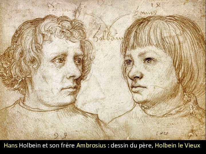  Hans Holbein et son frère Ambrosius : dessin du père, Holbein le Vieux