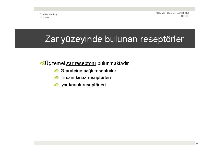 Doç. Dr. Kubilay Yıldırım (Kaynak: Biyoloji, Campbell & Reece) Zar yüzeyinde bulunan reseptörler ¤