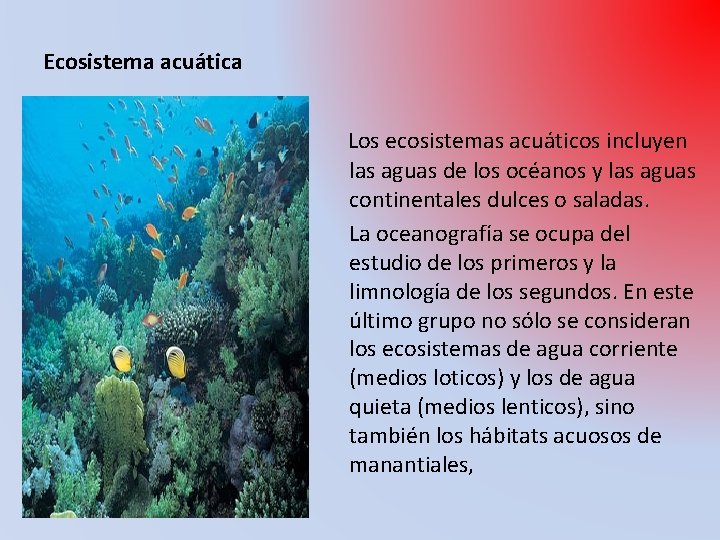 Ecosistema acuática Los ecosistemas acuáticos incluyen las aguas de los océanos y las aguas