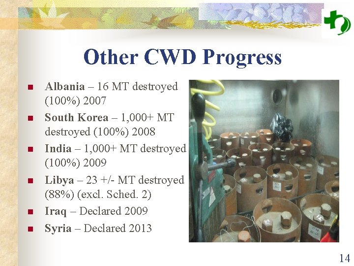 Other CWD Progress n n n Albania – 16 MT destroyed (100%) 2007 South