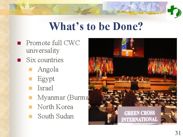 What’s to be Done? n n Promote full CWC universality Six countries n Angola