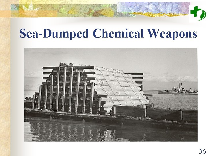 Sea-Dumped Chemical Weapons 36 