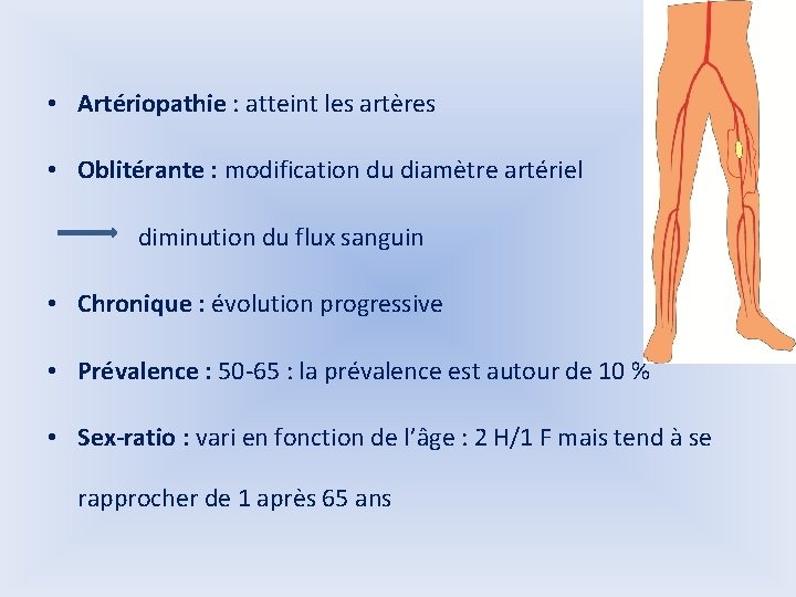Smiologie Vasculaire Dr A Z Benyelles Chirurgie Cardiovasculaire smiologie-vasculaire-dr-a-z-benyelles-chirurgie-cardiovasculaire