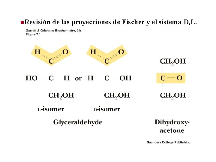 n. Revisión de las proyecciones de Fischer y el sistema D, L. 