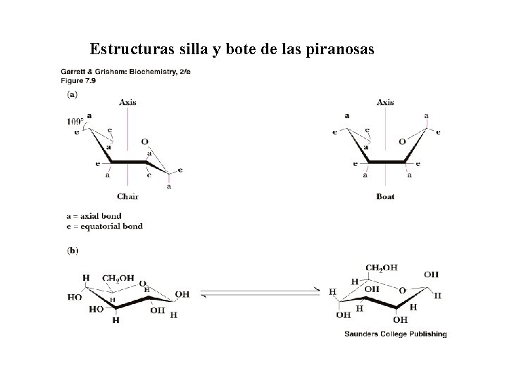 Estructuras silla y bote de las piranosas 