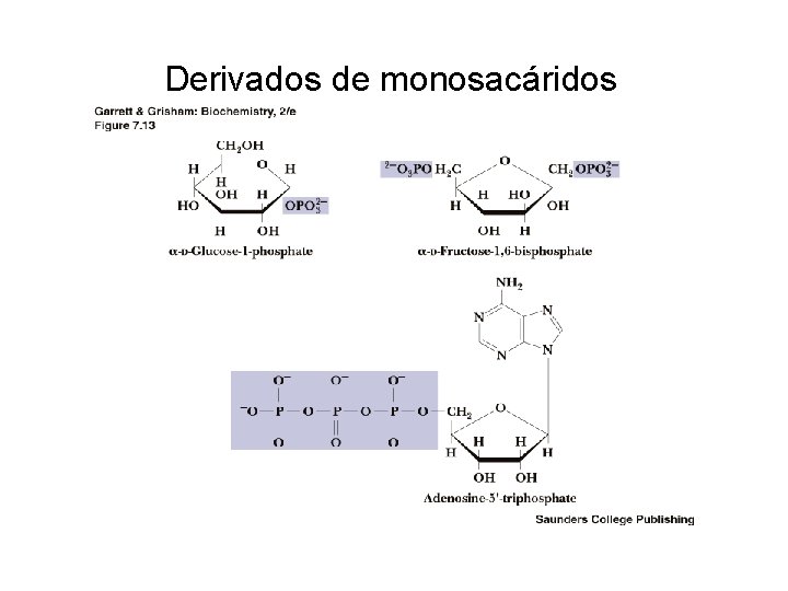 Derivados de monosacáridos 