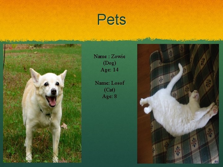 Pets Name : Zowie (Dog) Age: 14 Name: Losof (Cat) Age: 8 