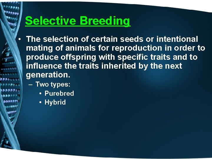 Selective Breeding • The selection of certain seeds or intentional mating of animals for