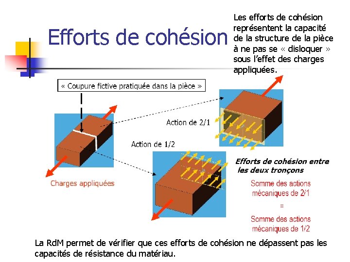 Efforts de cohésion Les efforts de cohésion représentent la capacité de la structure de