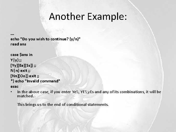Another Example: . . . echo "Do you wish to continue? (y/n)" read ans Another Example: . . . echo "Do you wish to continue? (y/n)" read ans
