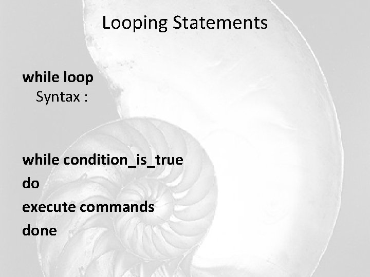 Looping Statements while loop Syntax : while condition_is_true do execute commands done Looping Statements while loop Syntax : while condition_is_true do execute commands done