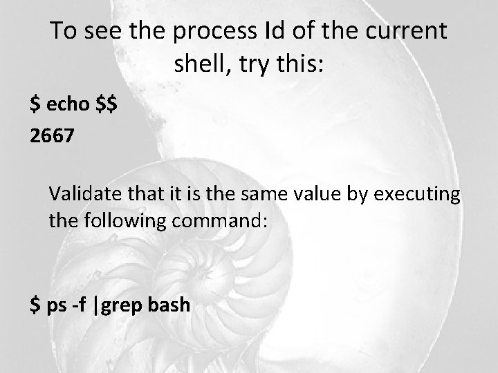To see the process Id of the current shell, try this: $ echo $$ To see the process Id of the current shell, try this: $ echo $$