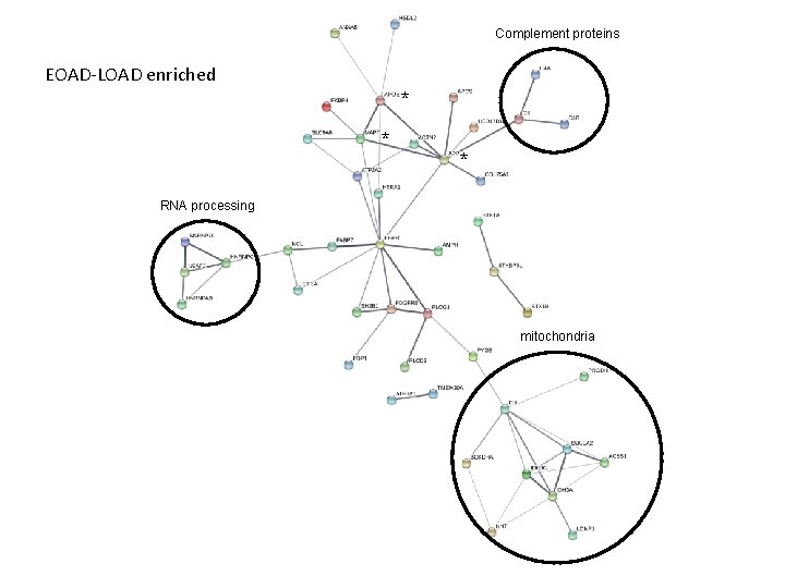 Complement proteins EOAD-LOAD enriched * * * RNA processing mitochondria 