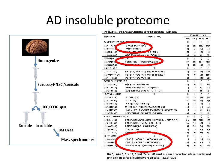 AD insoluble proteome Homogenize Sarocosyl/Na. Cl/sonicate 200, 000 G spin Soluble Insoluble 8 M