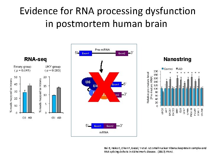 Evidence for RNA processing dysfunction in postmortem human brain 5’ RNA-seq Pre-m. RNA Exon