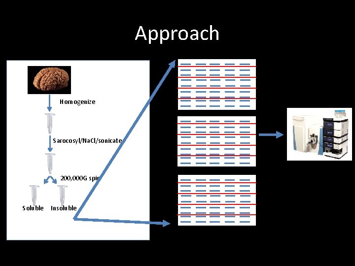 Approach Homogenize Sarocosyl/Na. Cl/sonicate 200, 000 G spin Soluble Insoluble 