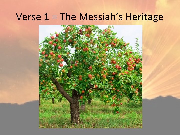 Verse 1 = The Messiah’s Heritage 