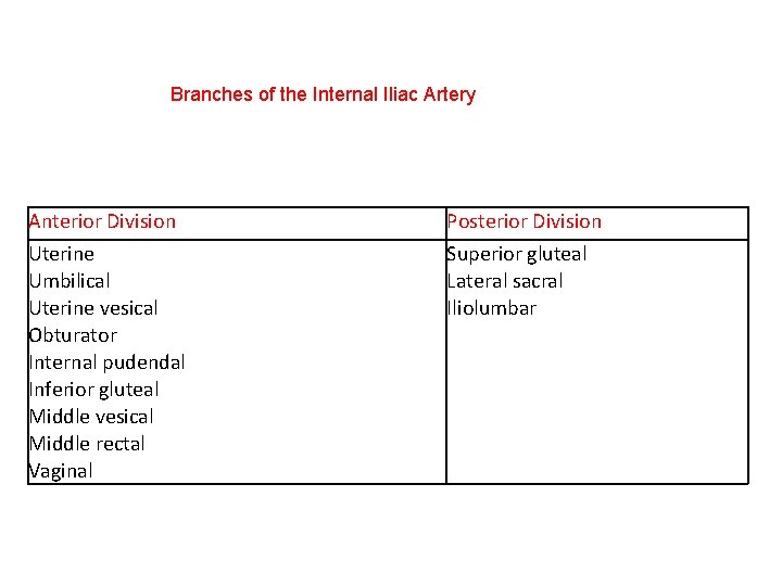 Branches of the Internal Iliac Artery Anterior Division Posterior Division Uterine Umbilical Uterine vesical