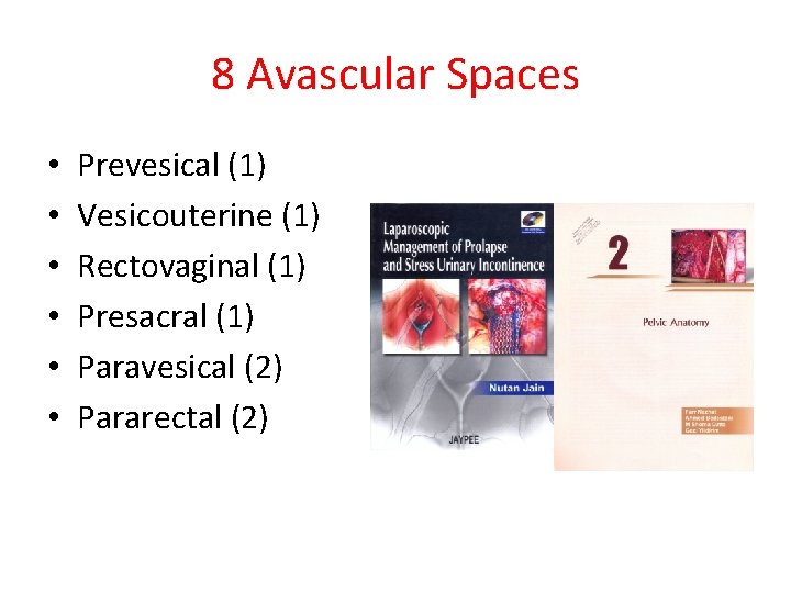 8 Avascular Spaces • • • Prevesical (1) Vesicouterine (1) Rectovaginal (1) Presacral (1)