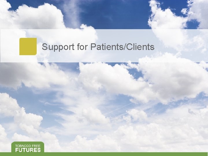 Support for Patients/Clients 