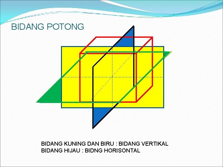 BIDANG POTONG BIDANG KUNING DAN BIRU : BIDANG VERTIKAL BIDANG HIJAU : BIDNG HORISONTAL