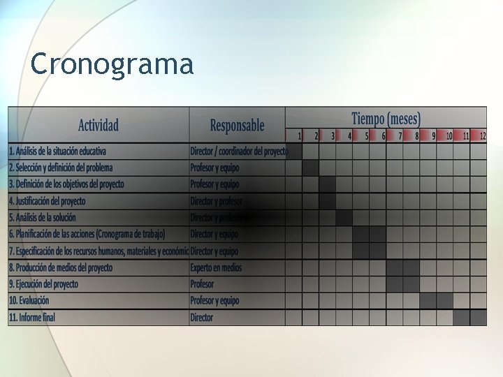 Cronograma 
