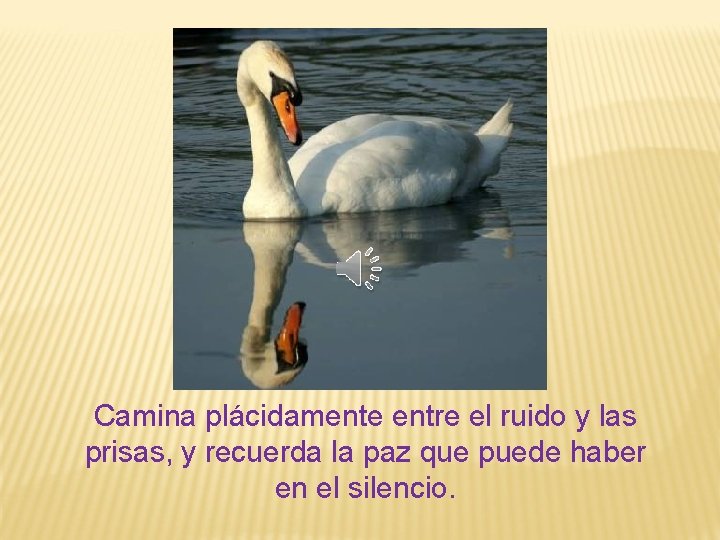 Camina plácidamente entre el ruido y las prisas, y recuerda la paz que puede