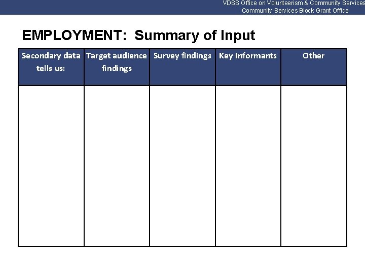 VDSS Office on Volunteerism & Community Services Block Grant Office EMPLOYMENT: Summary of Input
