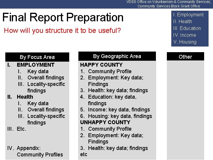 VDSS Office on Volunteerism & Community Services; Community Services Block Grant Office Final Report