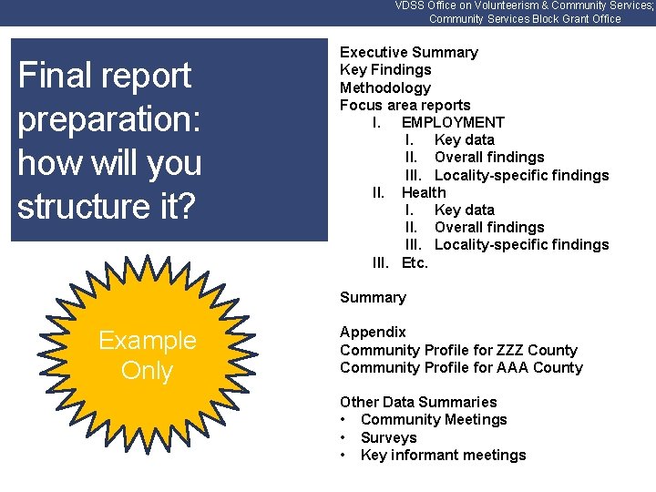VDSS Office on Volunteerism & Community Services; Community Services Block Grant Office Final report