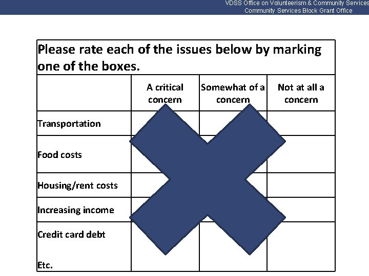 VDSS Office on Volunteerism & Community Services Block Grant Office Please rate each of