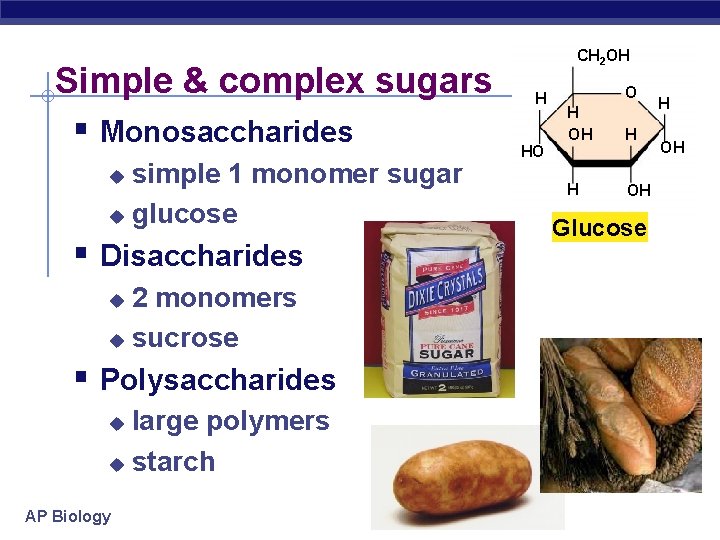 Simple & complex sugars § Monosaccharides simple 1 monomer sugar u glucose u §