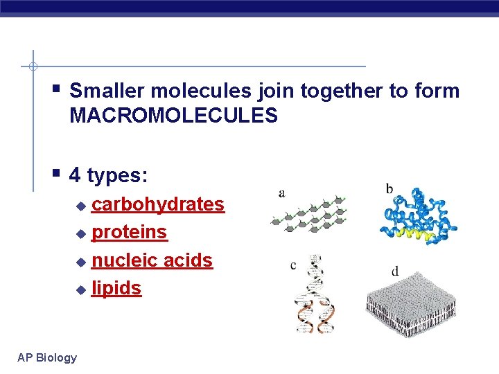 § Smaller molecules join together to form MACROMOLECULES § 4 types: carbohydrates u proteins