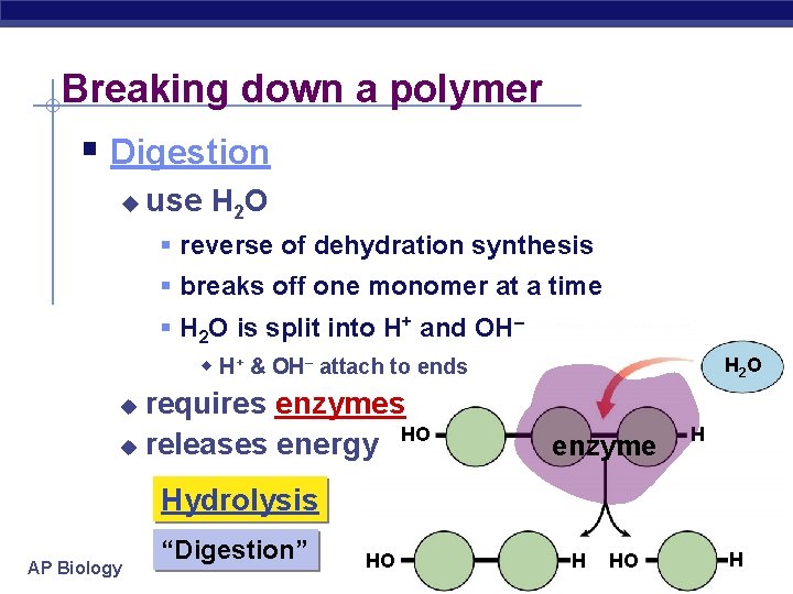 Breaking down a polymer § Digestion u use H 2 O § reverse of