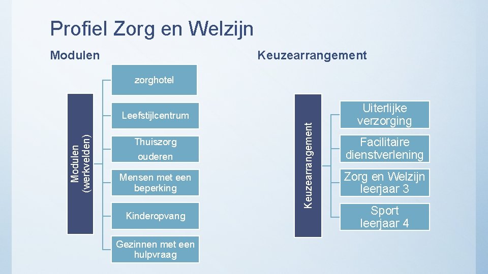 Profiel Zorg en Welzijn Modulen Keuzearrangement zorghotel Thuiszorg ouderen Mensen met een beperking Kinderopvang