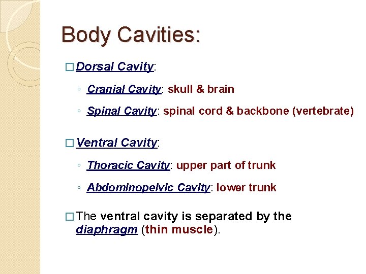 Body Cavities: � Dorsal Cavity: ◦ Cranial Cavity: skull & brain ◦ Spinal Cavity: