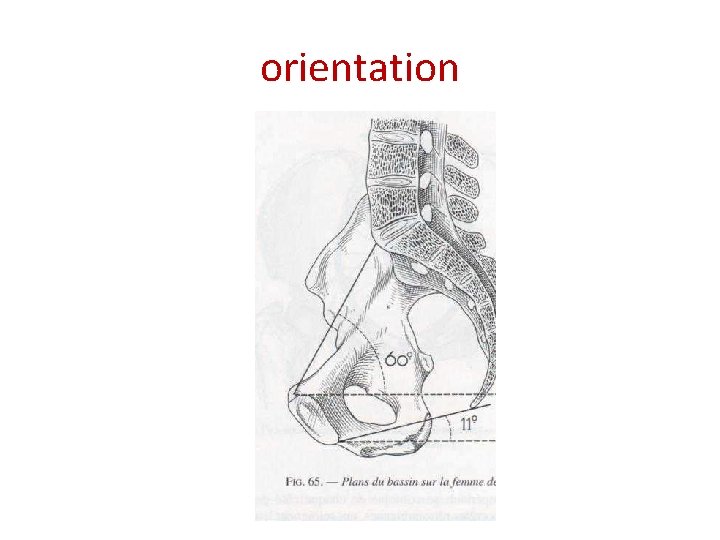 orientation 