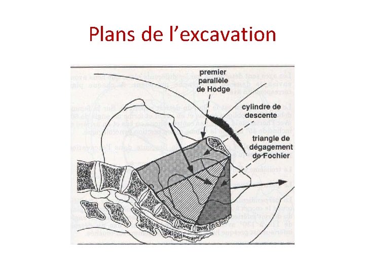 Plans de l’excavation 