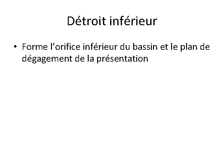 Détroit inférieur • Forme l’orifice inférieur du bassin et le plan de dégagement de