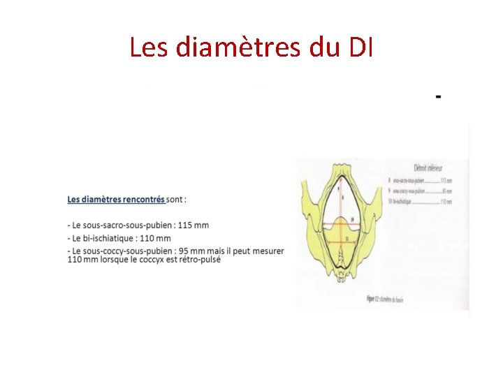 Les diamètres du DI 