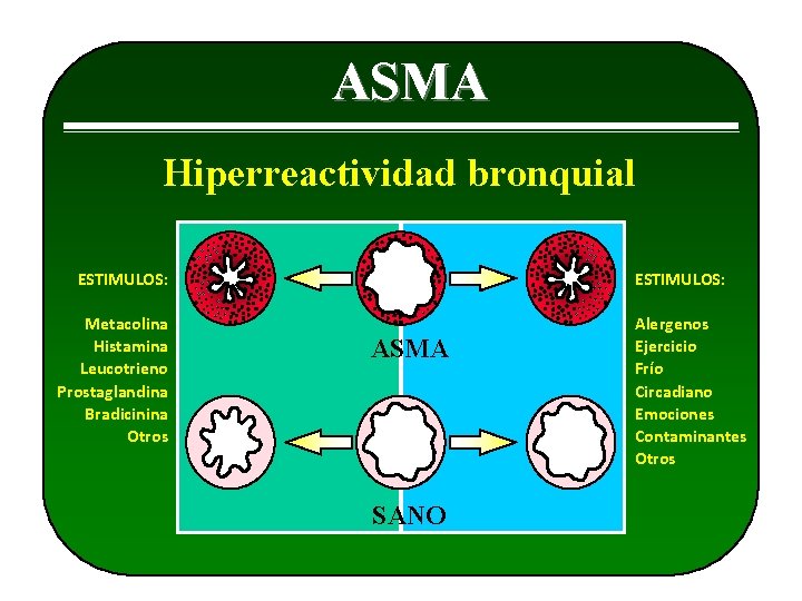 ASMA Hiperreactividad bronquial ESTIMULOS: Metacolina Histamina Leucotrieno Prostaglandina Bradicinina Otros ESTIMULOS: ASMA SANO Alergenos