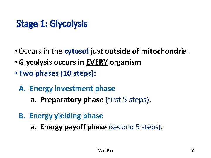 Stage 1: Glycolysis • Occurs in the cytosol just outside of mitochondria. • Glycolysis